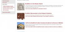 Event Series page on Buddhist Studies site